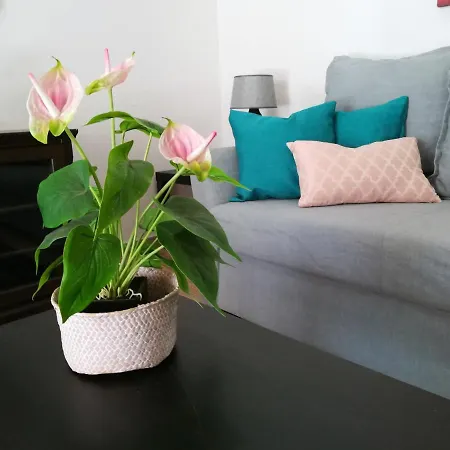 Apartment Inema House Iberlagos